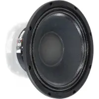 Visaton PAW 25 - 8 Ohm 10 inch 25 cm Midwoofer 300 W 8 Ω