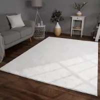 TT Home Woonkamer hoogpolig tapijt imitatiebont moderne effen kleuren pluizig zacht