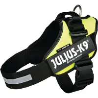 JULIUS K-9 IDC Powertuig - Hondentuig - L - Maat 1 - Neon