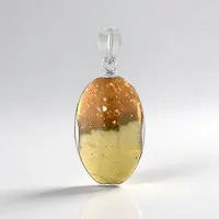 Cavill - Zilveren Hanger Geplatineerd - Versteend Hout 28 ct - 925 Sterling Zilver - Bali Barong Stijl - Ovaal 32x20 mm - Natuur Sieraad