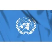 Fostex vlag VN, Verenigde Naties, V.N., United Nations