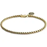 Lucleon Essentials | 3 mm Goudkleurige Armband met Gebogen Venetiaanse Schakels