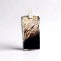 Cavill - 925 Sterling Zilver Hanger - Indonesische Versteend Hout Cabochon 37,5 ct - Elegante Rechthoekige Aardetinten