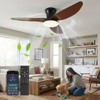ROSNEK Plafondventilator met Verlichting Hout - 100cm Stille DC Motor - LED Plafondlamp met Ventilator Dimbaar - Zomer en Winterstand - Woonkamer
