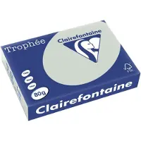 Clairefontaine Lichtgrijs A4 Gekleurd papier 80 grams (500 vel)