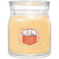 Yankee candle - Slopeside Spritz Medium Jar Geurkaars - 50 branduren - twee lonten