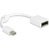 DeLOCK - DisplayPort-adapter - DisplayPort (vrouwelijk) naar Mini DisplayPort (mannelijk) - 21 cm