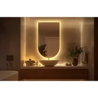 Coloray LED Spiegel Oval - Ovale Spiegel LED - 60 x 100 cm - Ovale Spiegel Met Licht - Boogvormige Spiegel met verlichting - Warm Licht - Ovale afgeknotte Spiegel - Minimalistisch Spiegel