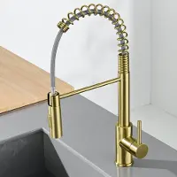 CECIPA MAX Keukenkraan met Uittrekbare Uitloop - Keukenmengkraan - Handdouche - Uittrekbaar - Flexibele Slang - Goud