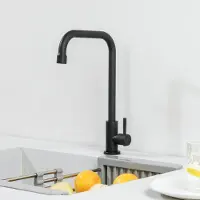 CECIPA MAX Koudwaterkraan Zwart - Keuken kraan - Fonteinkraan - Duurzaam - Mat zwart Afwerking - Inclusief Aansluitslang - Eenvoudige installatie