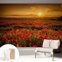 Coloray Behang - Papaverveld Behangrol - 312x219 cm - Rood Behang - Voor natuurliefhebbers en liefhebbers van zonsondergangen - Behang Voor de woonkamer, voor de slaapkamer - Muurbehang Landschappen