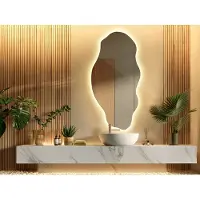 Coloray Organische Spiegel LED - Grote Organische Spiegel LED - 50 cm x 100 cm - Grote Organische Woonkamer Spiegel LED - Minimalistisch Spiegel - Warm licht - Wandspiegel LED Organisch