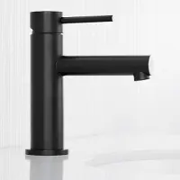 CECIPA MAX Wastafelkraan Zwart - Badkamerkraan - Mengkraan - Waterbesparend - Inclusief Aansluit slangen 3/8 - Zwart