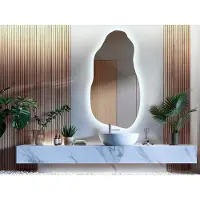 Coloray Organische Spiegel LED - Moderne Organische Grote Spiegel LED - 50 cm x 100 cm - Grote Organische Woonkamer Spiegel LED - Moderne Spiegel - Koel licht - Wandspiegel LED Organisch