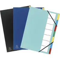 Exacompta Sorteermappen 55320E Kleurenassortiment Polypropyleen 23,5 x 33,5 cm 6 Stuks