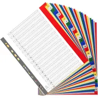 Exacompta 20x Tabbladen met bedrukte tabs in gekleurde PP - 31 tabs - 1 tot 31 - A4 maxi - Geassorteerde felle kleuren - 88E