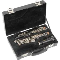 SKB Cases 1SKB-315 Hoes voor koperinstrumenten
