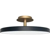 UMAGE Design plafondlamp Asteria UP PLUS, dimbaar, zwart, Woon-/ Eetkamer, metaal, Design, plafondlamp design