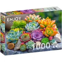 Enjoy Succulents Puzzel 1000 Stukjes