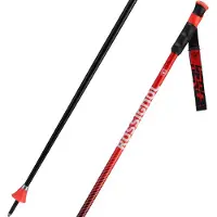Rossignol Hero Gs-sg Stokken