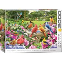 Eurographics Bird Gathering Puzzel (2000 stukjes)