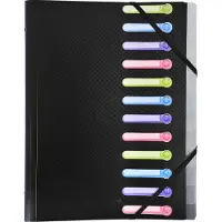 Exacompta Sorteermap Speciaal 12 tabs Kleurenassortiment 55180E 24 (B) x 32 (H) cm 10 Stuks