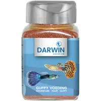 Darwin Guppy Voeding
