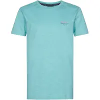 Petrol Industries - Jongens Backprint T-shirt Tealshore - Groen