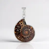 Cavill - Zilveren Hanger met 23 ct Ammoniet uit Madagaskar - 925 Sterling Zilver - Spiraalvormig Nautilus Design - Fancy Slijpsel - Elegante Hanger