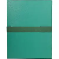Exacompta 10x Map uitrekbare rug en klep in Balacron - 24x32 cm - Groen - 623E