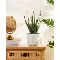 HowHomely Stripped - Bloempot - Wit - Laag - 24x21 cm