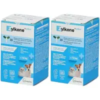 Zylkène Plus Honden en Katten <10kg 2x30 St Capsules
