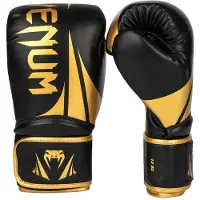 Venum Challenger 2.5 Boxing Gloves