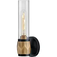 HINKLEY LED Wandlamp Ellison | 1X E27 Max 40W | Black with Heritage Brass