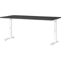 Huisenthuis.nl Bureau Galileo Wit - Grafiet - 160x80cm - Hoogte 91 cm - In hoogte verstelbaar
