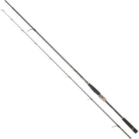 Daiwa Morethan Branzino Expert Ags Spinhengel
