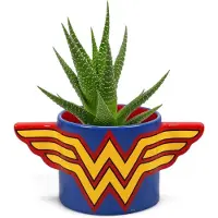Half Moon Bay DC Comic Wonderman Bloempot
