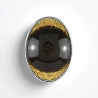 Cavill - Zilveren Hanger - 925 Sterling Zilver - 12,75 ct Ovale Cabochon Versteend Hout - Elegante Natuurlijke Sieraden met Gouden Accenten - 26x20 mm