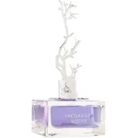Aurora Deciduous Winter Eau de Parfum voor dames, 100 ml