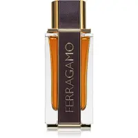 Ferragamo Spicy Leather Eau de Parfum 100 ml