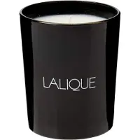 Lalique Candle 190g - Santal Goa