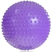 Pro-Fit PROfit Bal gimnastyczna met Massage 55cm Paars