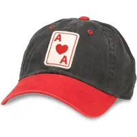 American Needle Pet bruin