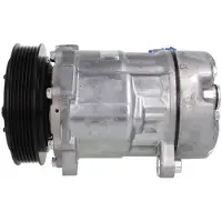 Delphi TSP0159381 Aircopomp
