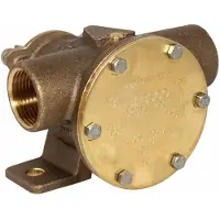 Jabsco 52080-2001 Pump Goud