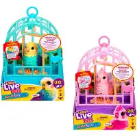 Moose Pratende Vogels Little Live Pets