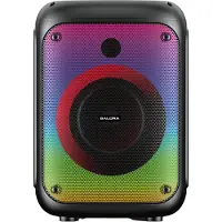 Salora PARTYBOX100 - Party Speaker - 100W - Karaoke - Zwart
