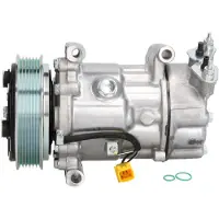 Delphi TSP0159851 Aircopomp