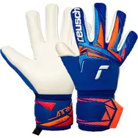 Reusch Sporthandschoenen 'Attrakt Gold X NC Junior Profi' blauw