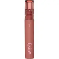 Etude Fixing Tint 12 Salmon Brick